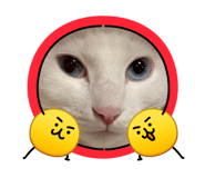 883515923