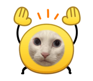 883515924