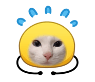 883515925