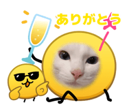 883515926