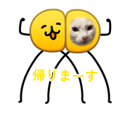 883515927