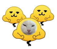 883515928