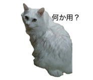 883519493