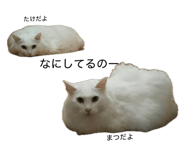 883519496