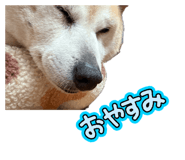 883521031