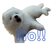 883522499