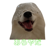 883522500