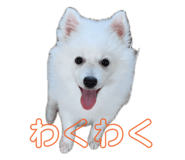 883522503