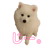 883522504