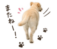 883522683