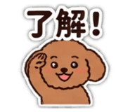 883522805