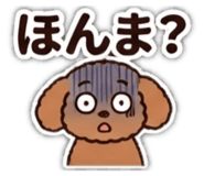 883522808