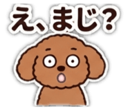 883522813