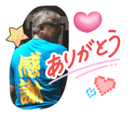 883524253