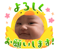883524627