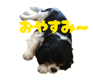 883524746