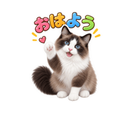 883525087