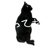 883525226