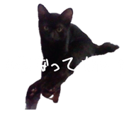 883525227