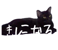 883525229