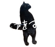 883525230