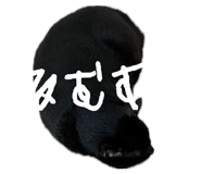 883525232
