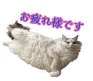 883525365