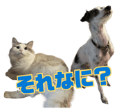 883525368