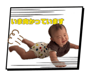 883525455