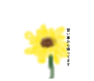 883527024