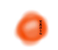 883527034