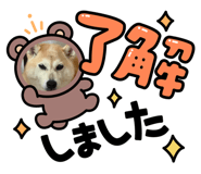 883527310