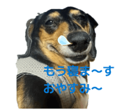 883528261