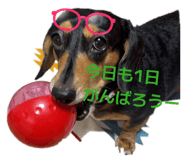 883528267
