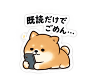 883529211