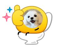 883529437
