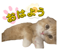 883529889