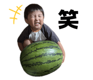 883530436