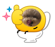 883530557