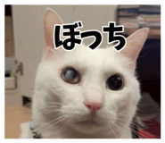 883530812