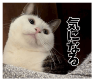 883530840