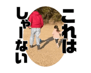 883530865