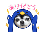 883530905