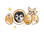883530907