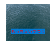 883531165