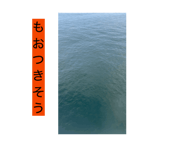 883531167