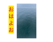 883531168