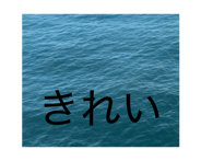 883531169