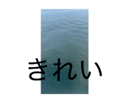 883531171