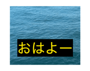883531172
